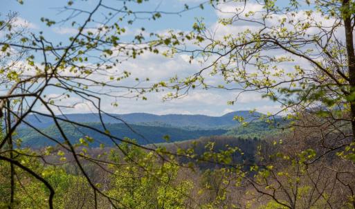 Close to/on the property line. Can have this view with removal of some trees.