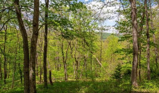 Photo #1 of CHURCH MOUNTAIN LN, FULKS RUN, VA 16.0 acres