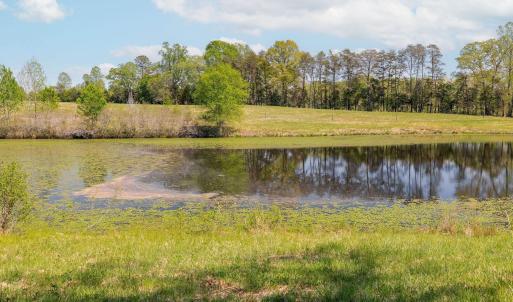 Photo #21 of CEDAR PLAINS RD, SANDY HOOK, VA 95.2 acres