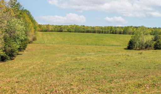 Photo #28 of CEDAR PLAINS RD, SANDY HOOK, VA 95.2 acres