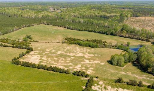 Photo #17 of CEDAR PLAINS RD, SANDY HOOK, VA 95.2 acres