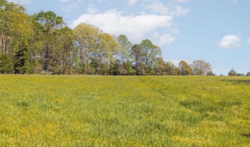 Photo #30 of CEDAR PLAINS RD, SANDY HOOK, VA 95.2 acres
