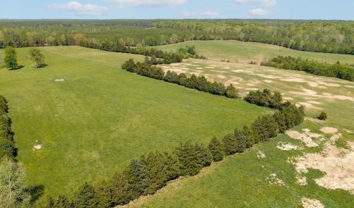 Photo #37 of CEDAR PLAINS RD, SANDY HOOK, VA 95.2 acres