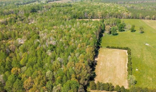 Photo #52 of CEDAR PLAINS RD, SANDY HOOK, VA 95.2 acres