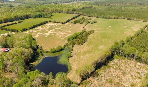 Photo #19 of CEDAR PLAINS RD, SANDY HOOK, VA 95.2 acres
