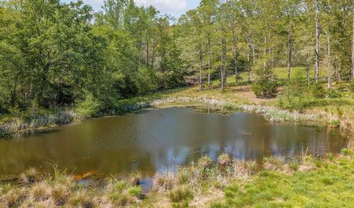 Photo #43 of CEDAR PLAINS RD, SANDY HOOK, VA 95.2 acres