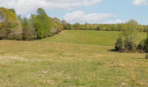 Photo #29 of CEDAR PLAINS RD, SANDY HOOK, VA 95.2 acres