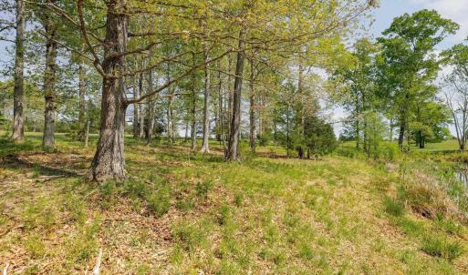 Photo #45 of TBD CEDAR PLAINS RD, SANDY HOOK, VA 95.2 acres