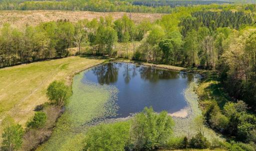 Photo #20 of TBD CEDAR PLAINS RD, SANDY HOOK, VA 95.2 acres