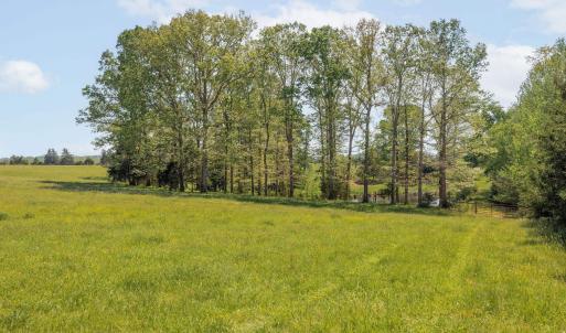 Photo #42 of TBD CEDAR PLAINS RD, SANDY HOOK, VA 95.2 acres