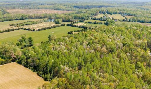 Photo #50 of TBD CEDAR PLAINS RD, SANDY HOOK, VA 95.2 acres