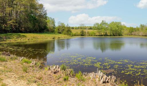 Photo #25 of TBD CEDAR PLAINS RD, SANDY HOOK, VA 95.2 acres