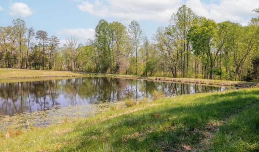 Photo #22 of TBD CEDAR PLAINS RD, SANDY HOOK, VA 95.2 acres