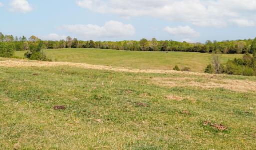 Photo #27 of TBD CEDAR PLAINS RD, SANDY HOOK, VA 95.2 acres