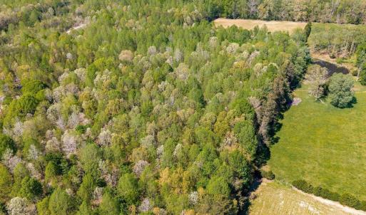 Photo #51 of TBD CEDAR PLAINS RD, SANDY HOOK, VA 95.2 acres
