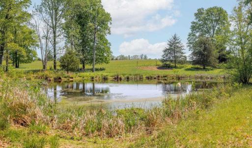 Photo #44 of TBD CEDAR PLAINS RD, SANDY HOOK, VA 95.2 acres