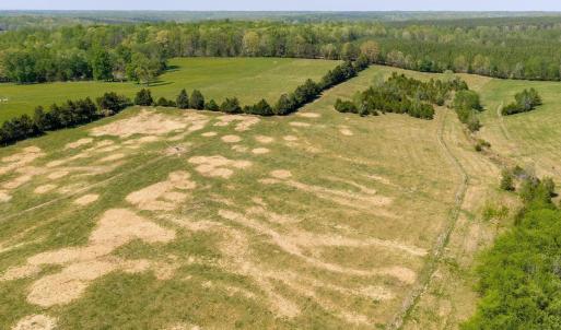 Photo #18 of TBD CEDAR PLAINS RD, SANDY HOOK, VA 95.2 acres