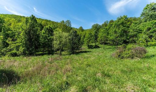 Photo #28 of 2255 BOONESVILLE RD, DYKE, VA 138.0 acres