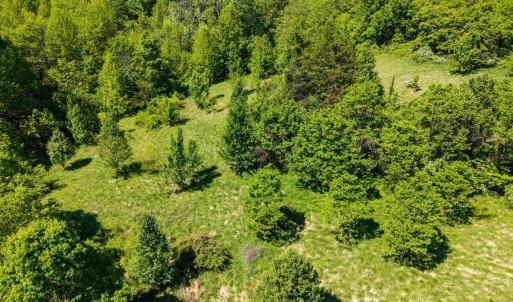 Photo #11 of 2255 BOONESVILLE RD, DYKE, VA 138.0 acres