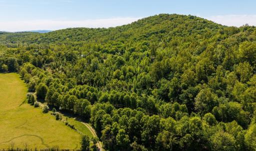 Photo #3 of 2255 BOONESVILLE RD, DYKE, VA 138.0 acres