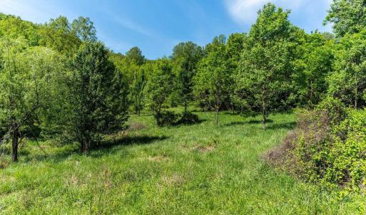 Photo #27 of 2255 BOONESVILLE RD, DYKE, VA 138.0 acres