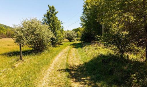 Photo #23 of 2255 BOONESVILLE RD, DYKE, VA 138.0 acres