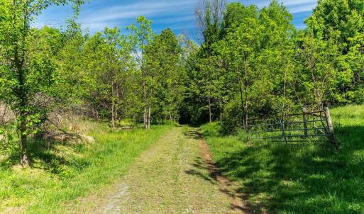 Photo #33 of 2255 BOONESVILLE RD, DYKE, VA 138.0 acres