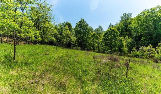 Photo #29 of 2255 BOONESVILLE RD, DYKE, VA 138.0 acres
