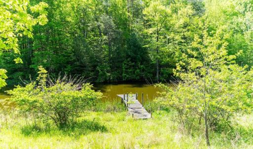 Photo #30 of 2255 BOONESVILLE RD, DYKE, VA 138.0 acres