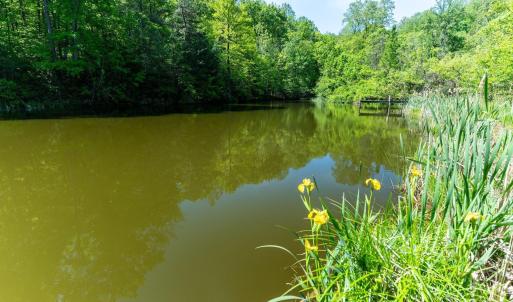 Photo #32 of 2255 BOONESVILLE RD, DYKE, VA 138.0 acres