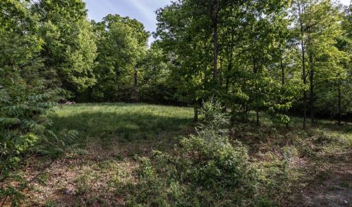 Photo #5 of SUNRISE DR, BROADWAY, VA 8.2 acres