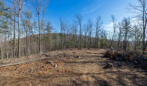 Photo #29 of 24.97 ac STRIBLING SPRINGS RD, MOUNT SOLON, VA 25.0 acres