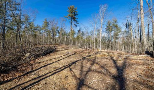 Photo #28 of 24.97 ac STRIBLING SPRINGS RD, MOUNT SOLON, VA 25.0 acres