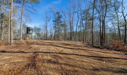 Photo #1 of 24.97 ac STRIBLING SPRINGS RD, MOUNT SOLON, VA 25.0 acres