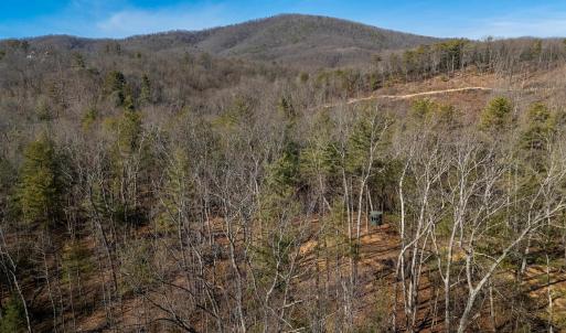 Photo #15 of 24.97 ac STRIBLING SPRINGS RD, MOUNT SOLON, VA 25.0 acres