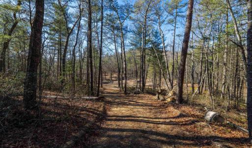 Photo #7 of 24.97 ac STRIBLING SPRINGS RD, MOUNT SOLON, VA 25.0 acres