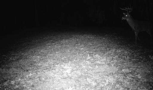Photo #32 of 24.97 ac STRIBLING SPRINGS RD, MOUNT SOLON, VA 25.0 acres