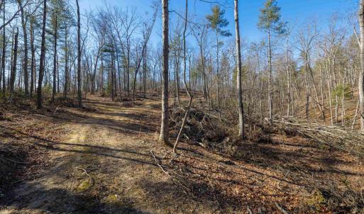 Photo #25 of 24.97 ac STRIBLING SPRINGS RD, MOUNT SOLON, VA 25.0 acres