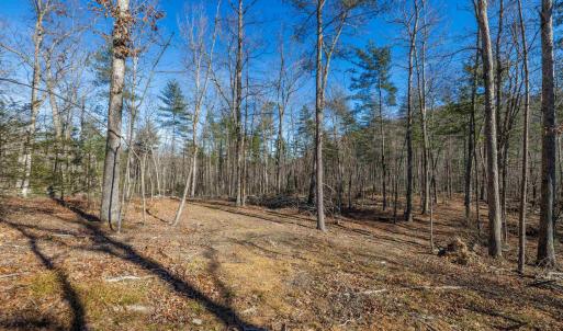Photo #27 of 24.97 ac STRIBLING SPRINGS RD, MOUNT SOLON, VA 25.0 acres