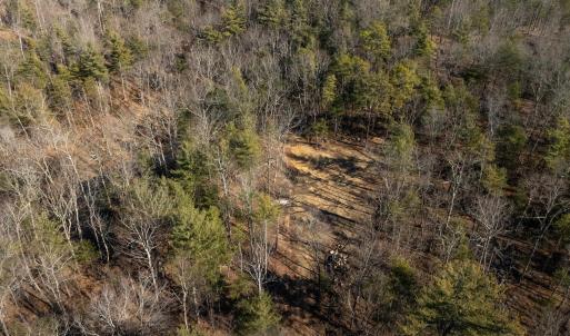 Photo #16 of 24.97 ac STRIBLING SPRINGS RD, MOUNT SOLON, VA 25.0 acres