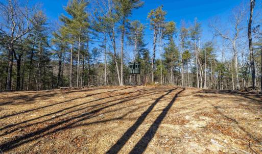 Photo #30 of 24.97 ac STRIBLING SPRINGS RD, MOUNT SOLON, VA 25.0 acres