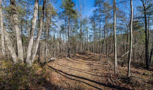 Photo #9 of 24.97 ac STRIBLING SPRINGS RD, MOUNT SOLON, VA 25.0 acres