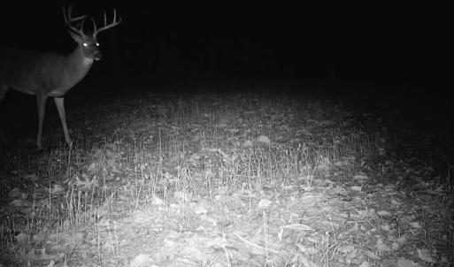 Photo #33 of 24.97 ac STRIBLING SPRINGS RD, MOUNT SOLON, VA 25.0 acres