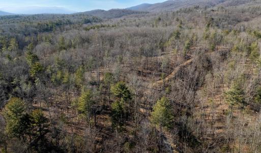 Photo #12 of 24.97 ac STRIBLING SPRINGS RD, MOUNT SOLON, VA 25.0 acres