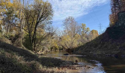 Photo #63 of BRIDGEPORT RD, ARVONIA, VA 29.4 acres