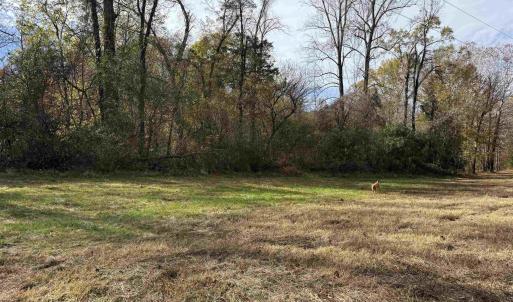 Photo #37 of BRIDGEPORT RD, ARVONIA, VA 29.4 acres
