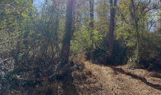 Photo #40 of BRIDGEPORT RD, ARVONIA, VA 29.4 acres