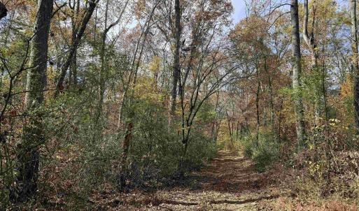 Photo #45 of BRIDGEPORT RD, ARVONIA, VA 29.4 acres
