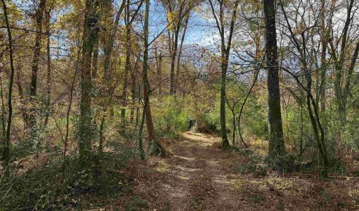 Photo #44 of BRIDGEPORT RD, ARVONIA, VA 29.4 acres