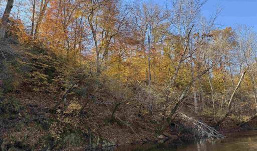 Photo #58 of BRIDGEPORT RD, ARVONIA, VA 29.4 acres